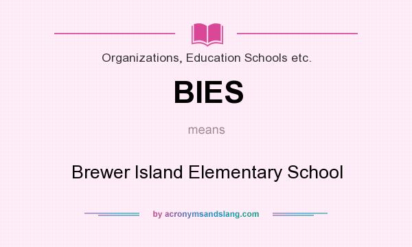 What does BIES mean? It stands for Brewer Island Elementary School