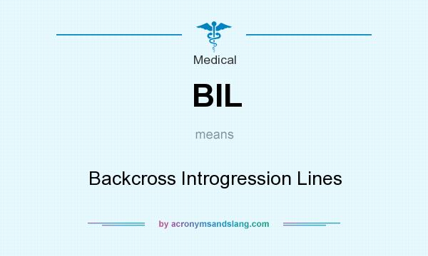 What does BIL mean? It stands for Backcross Introgression Lines