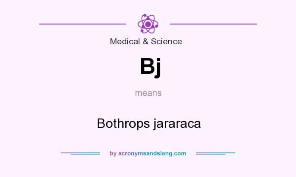 What does Bj mean? It stands for Bothrops jararaca