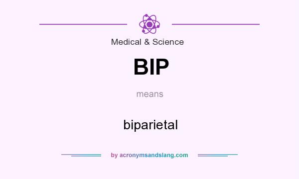What does BIP mean? It stands for biparietal