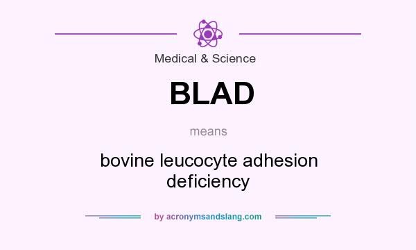 What does BLAD mean? It stands for bovine leucocyte adhesion deficiency