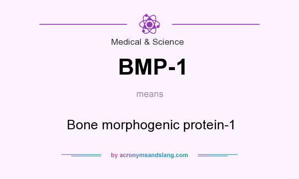 What does BMP-1 mean? It stands for Bone morphogenic protein-1