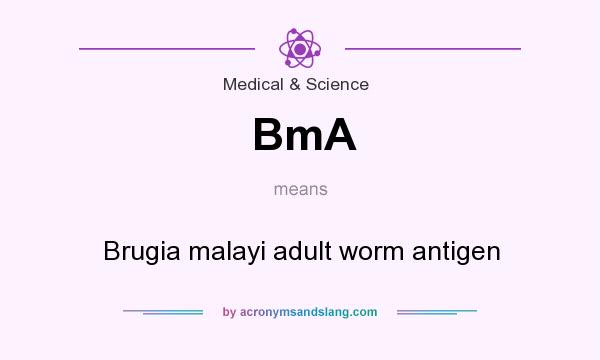 What does BmA mean? It stands for Brugia malayi adult worm antigen