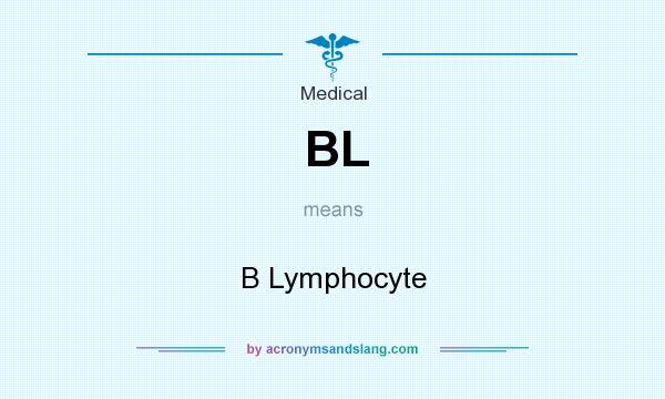 What does BL mean? It stands for B Lymphocyte