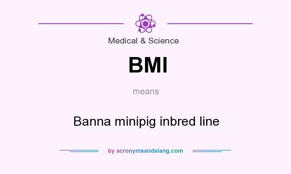 What does BMI mean? It stands for Banna minipig inbred line