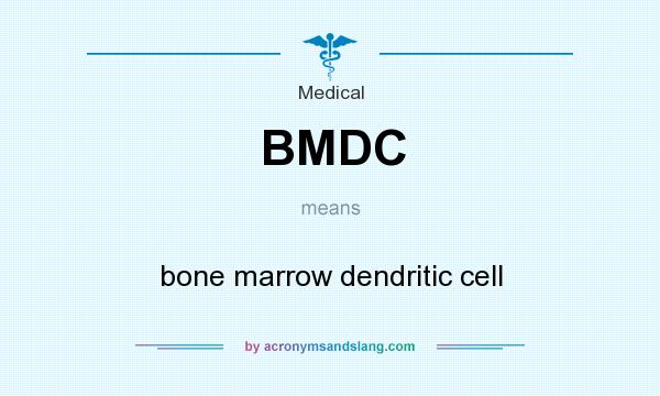 What does BMDC mean? It stands for bone marrow dendritic cell