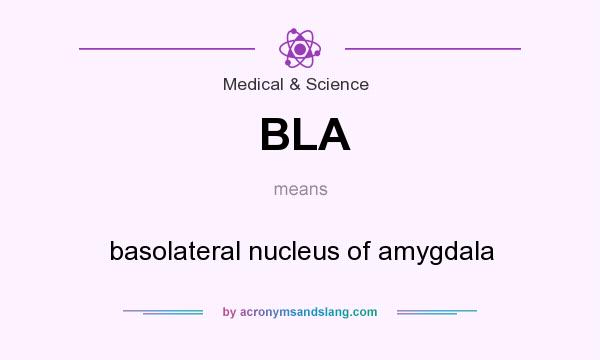What does BLA mean? It stands for basolateral nucleus of amygdala