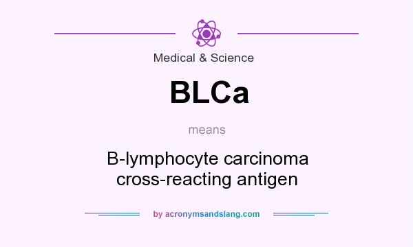 What does BLCa mean? It stands for B-lymphocyte carcinoma cross-reacting antigen