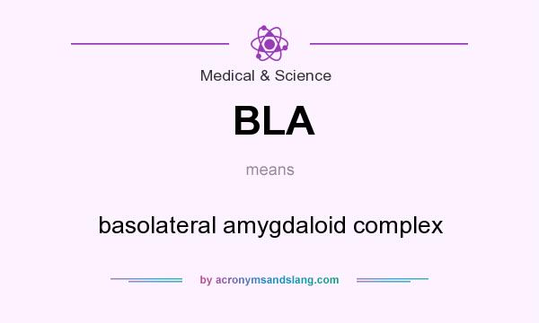 What does BLA mean? It stands for basolateral amygdaloid complex