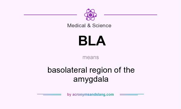 What does BLA mean? It stands for basolateral region of the amygdala
