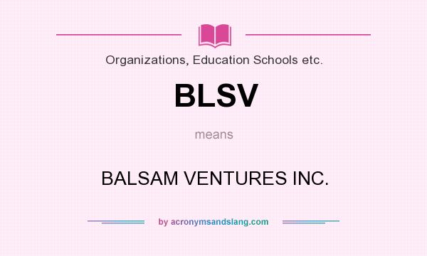 What does BLSV mean? It stands for BALSAM VENTURES INC.