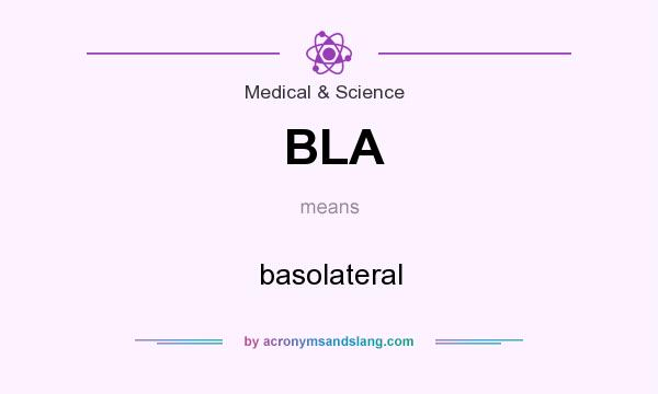 What does BLA mean? It stands for basolateral