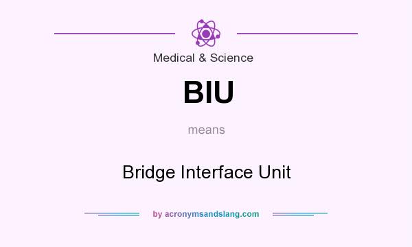 What does BIU mean? It stands for Bridge Interface Unit
