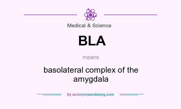 What does BLA mean? It stands for basolateral complex of the amygdala