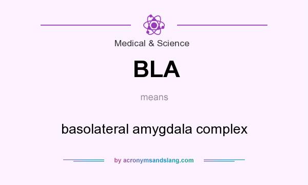 What does BLA mean? It stands for basolateral amygdala complex