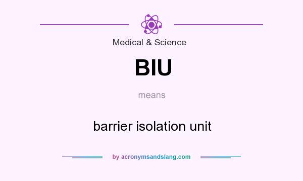 What does BIU mean? It stands for barrier isolation unit