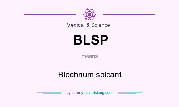What does BLSP mean? It stands for Blechnum spicant
