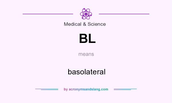 What does BL mean? It stands for basolateral