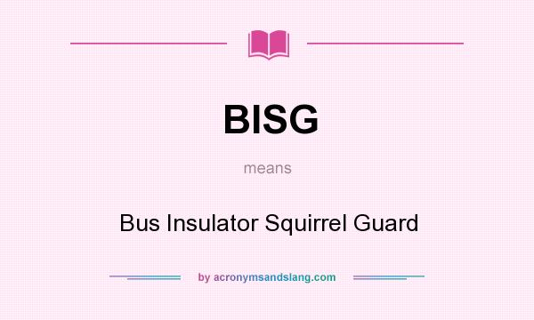 What does BISG mean? It stands for Bus Insulator Squirrel Guard