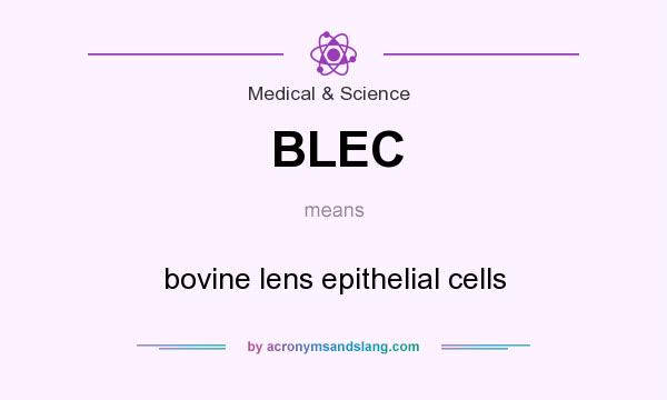 What does BLEC mean? It stands for bovine lens epithelial cells