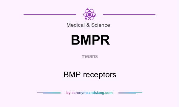 What does BMPR mean? It stands for BMP receptors