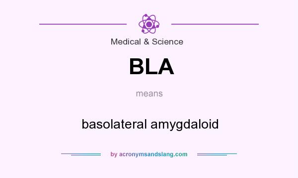 What does BLA mean? It stands for basolateral amygdaloid