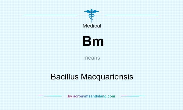 What does Bm mean? It stands for Bacillus Macquariensis