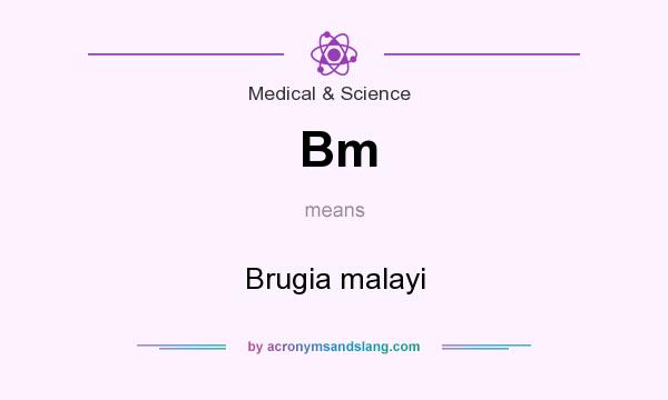 What does Bm mean? It stands for Brugia malayi