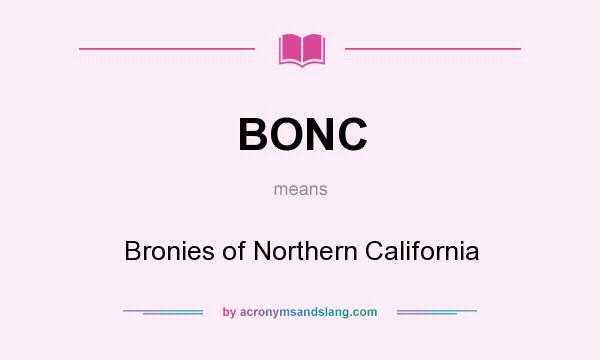 What does BONC mean? It stands for Bronies of Northern California