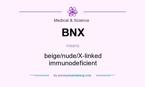 What does BNX mean? It stands for beige/nude/X-linked immunodeficient