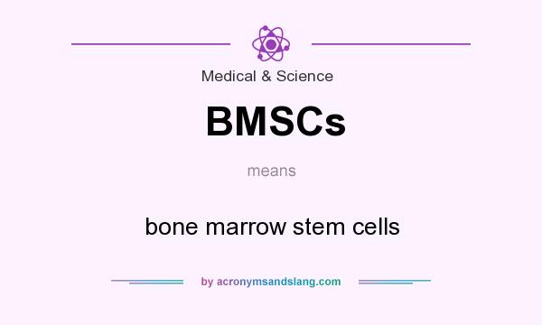 What does BMSCs mean? It stands for bone marrow stem cells