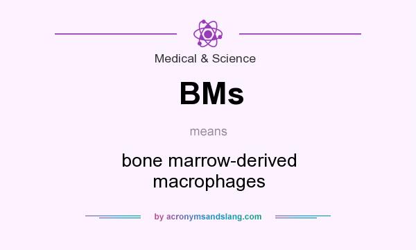 What does BMs mean? It stands for bone marrow-derived macrophages