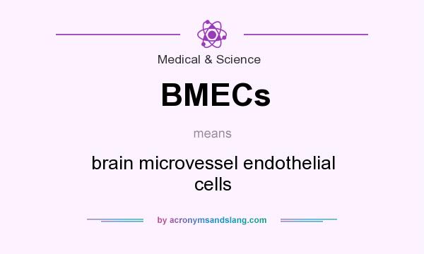 What does BMECs mean? It stands for brain microvessel endothelial cells