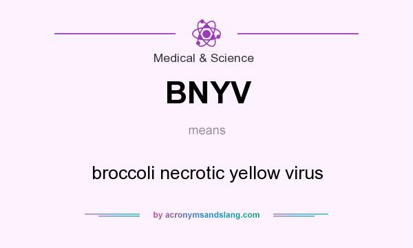 What does BNYV mean? It stands for broccoli necrotic yellow virus
