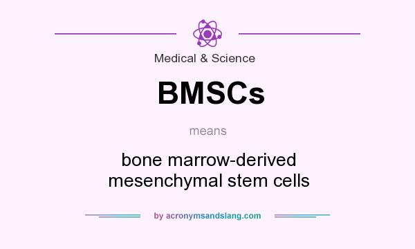What does BMSCs mean? It stands for bone marrow-derived mesenchymal stem cells