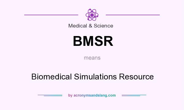 What does BMSR mean? It stands for Biomedical Simulations Resource