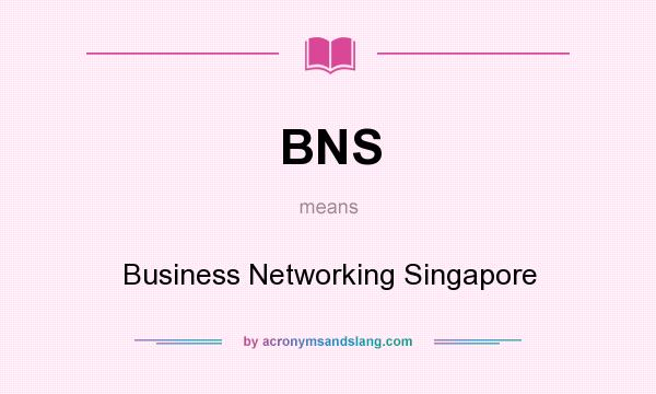 What does BNS mean? It stands for Business Networking Singapore