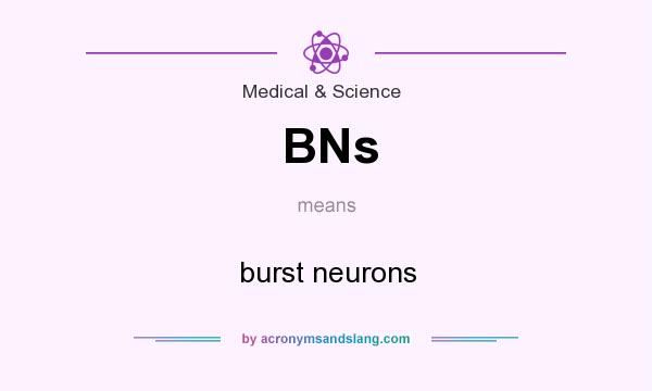 What does BNs mean? It stands for burst neurons