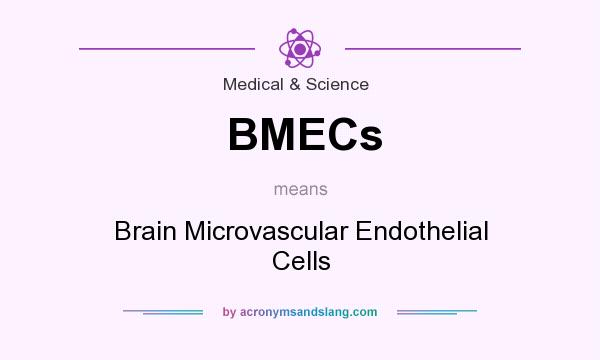What does BMECs mean? It stands for Brain Microvascular Endothelial Cells