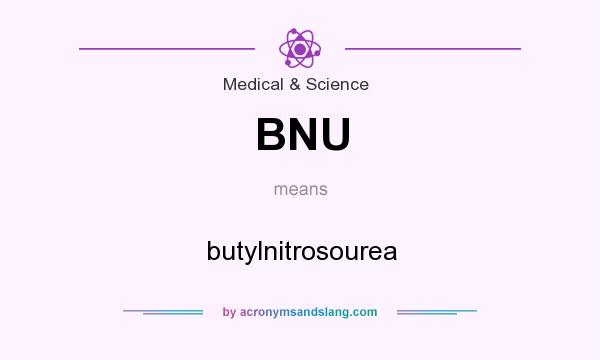 What does BNU mean? It stands for butylnitrosourea