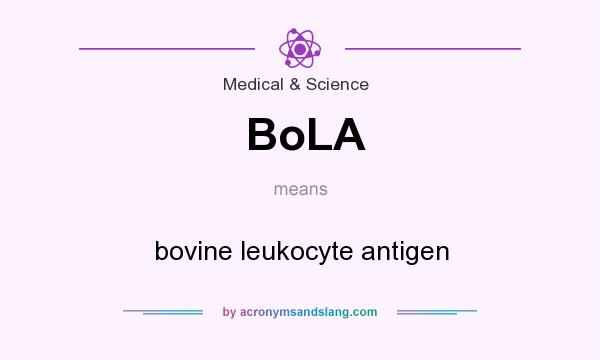 What does BoLA mean? It stands for bovine leukocyte antigen