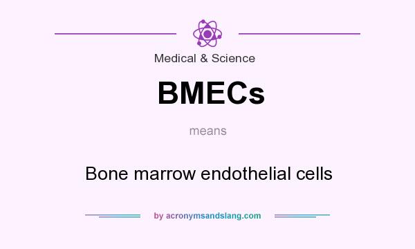 What does BMECs mean? It stands for Bone marrow endothelial cells