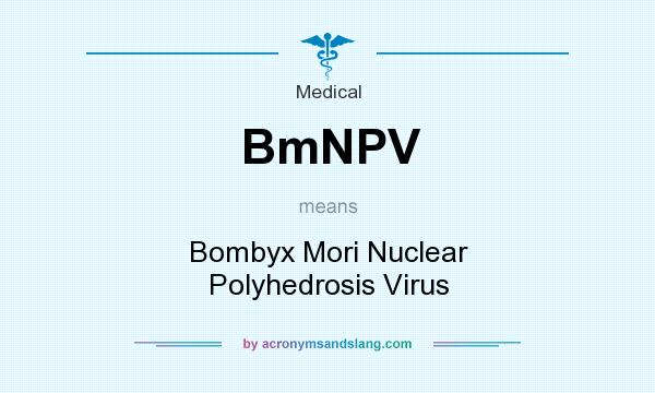 What does BmNPV mean? It stands for Bombyx Mori Nuclear Polyhedrosis Virus