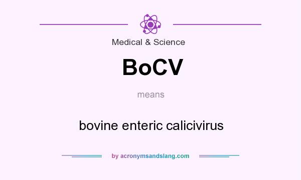 What does BoCV mean? It stands for bovine enteric calicivirus
