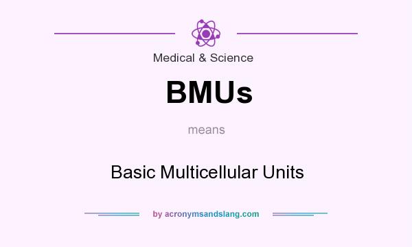 What does BMUs mean? It stands for Basic Multicellular Units