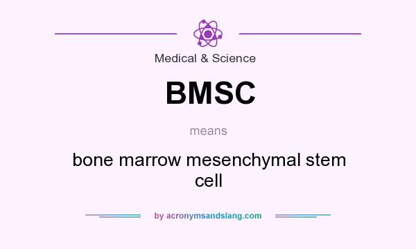 What does BMSC mean? It stands for bone marrow mesenchymal stem cell