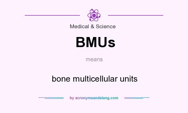 What does BMUs mean? It stands for bone multicellular units