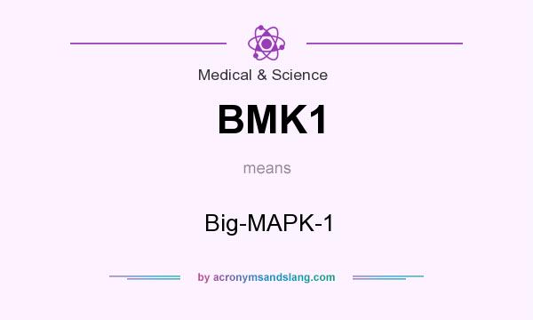 What does BMK1 mean? It stands for Big-MAPK-1