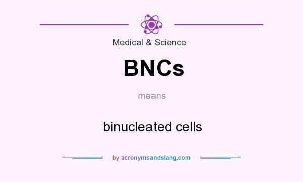 What does BNCs mean? It stands for binucleated cells