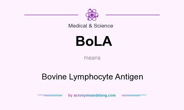 What does BoLA mean? It stands for Bovine Lymphocyte Antigen